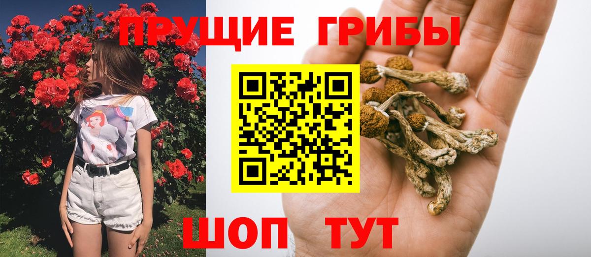 даркнет сайт  Вход с VPN  Тихвин  Галлюциногенные грибы мицелий  Галлюциногенные грибы мицелий 
