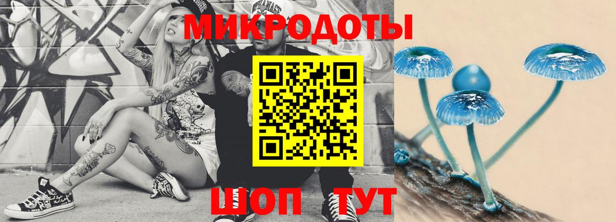 Псилоцибиновые грибы Magic Shrooms Тихвин
